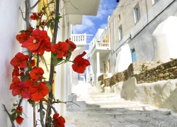Остров Миконас, Греция, отдых.