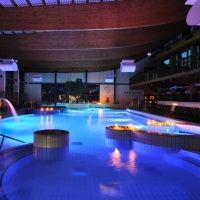 Доленске топлице, отель BALNEA 4* Доленске топлице, отель BALNEA 4*