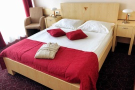 Отель Donat 4*, курорт Рогашка Слатина, Словения.