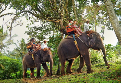 Национальный парки - Шри-Ланка