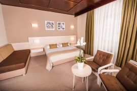 Отель Zagreb 4*, курорт Рогашка Слатина, Словения.