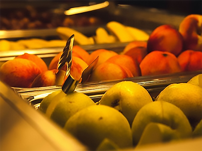 Кисловодск санаторий «Плаза»